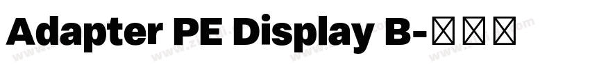 Adapter PE Display B字体转换